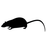 [Image: RATiconstock153049667-150x150.png]